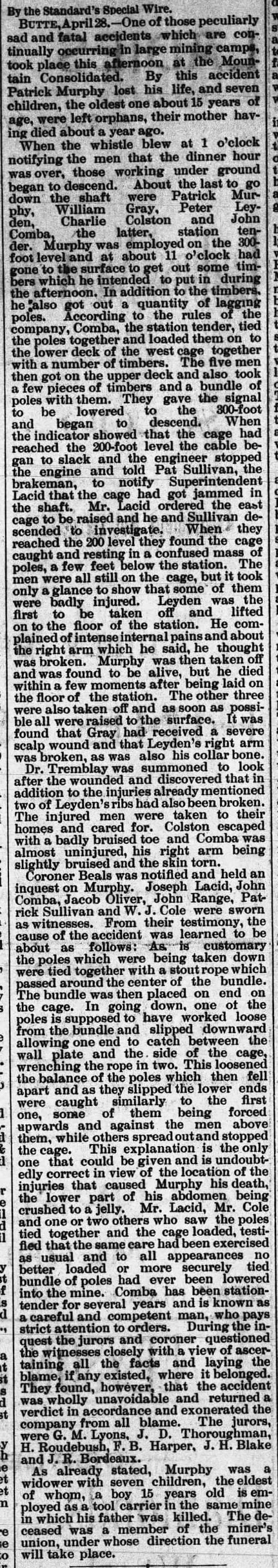 The article as printed