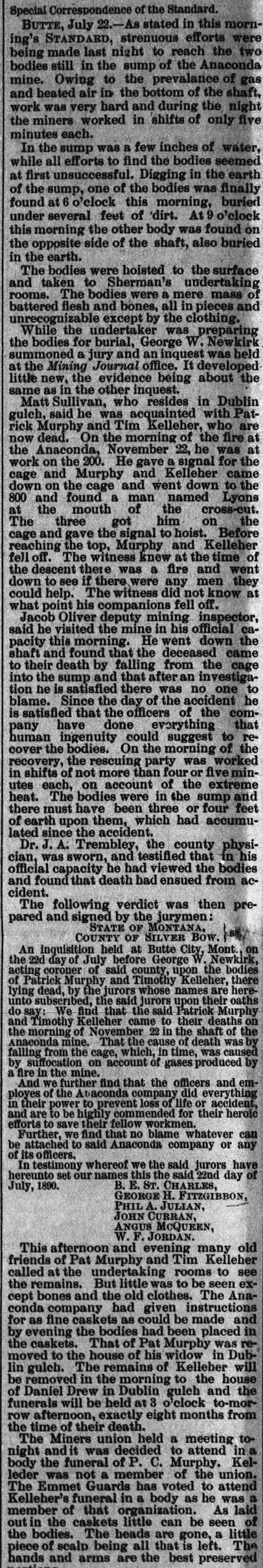 The article as printed