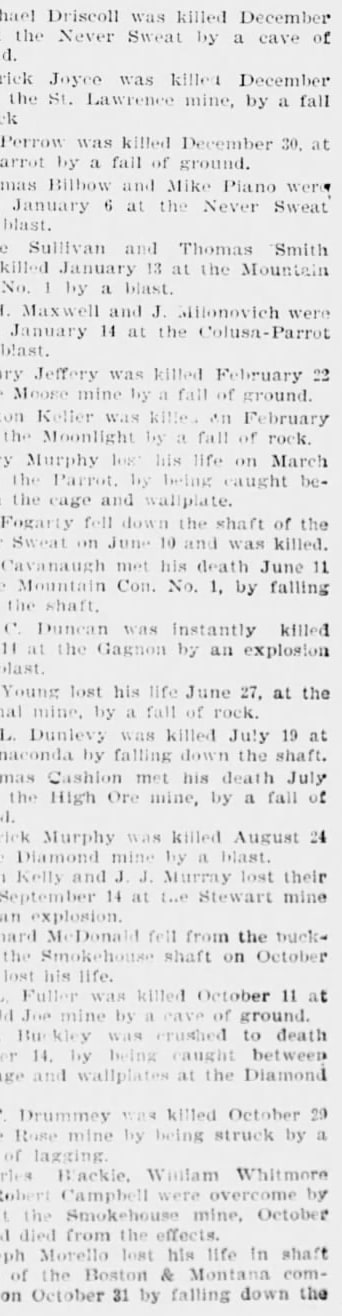 The article as printed