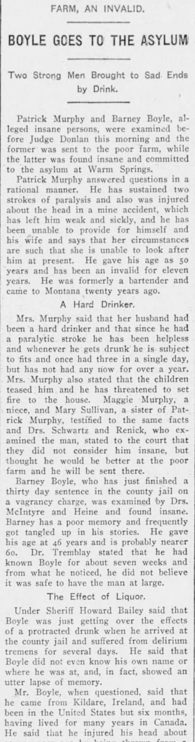 The article as printed
