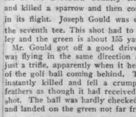 The article as printed