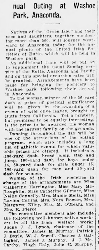 The article as printed